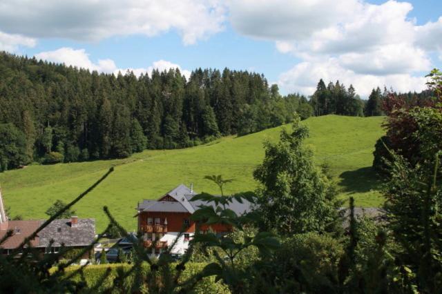 Hotel-Pension Thome Hinterzarten Exterior foto